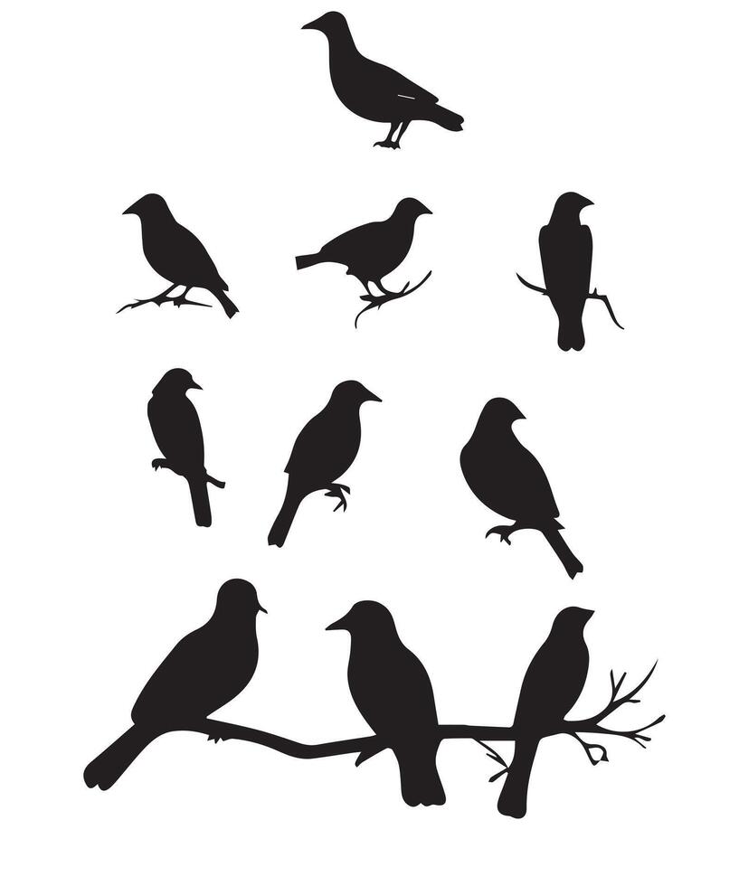 Set of black bird silhouettes. vector
