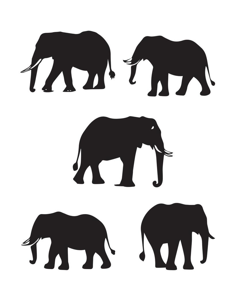 Elephant icons collection vector