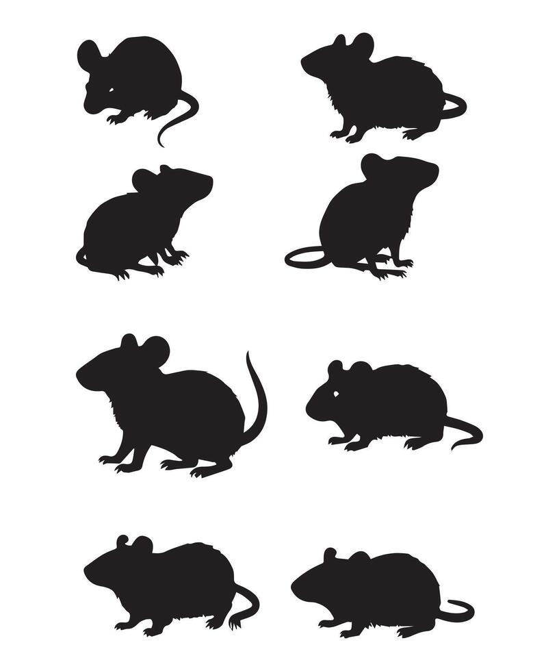 rat silhouettes design vector