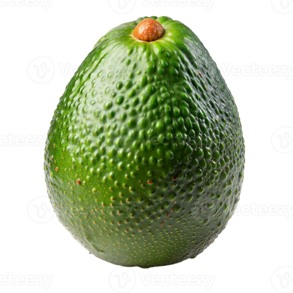 Close-up of a large, green avocado with a bumpy texture under bright studio lighting png