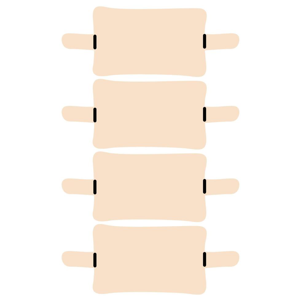Spinal cord 1 on a white background, illustration. vector