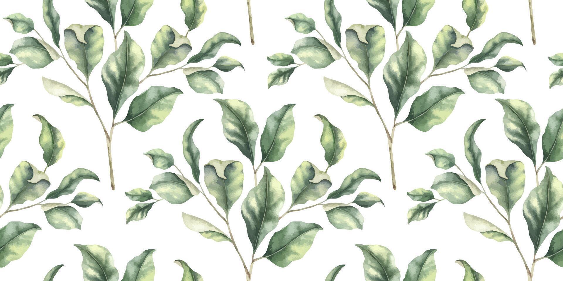 Green branches with leaves. Hand drawn watercolor seamless pattern of Twigs. Summer floral background for wedding design, textiles, wrapping paper, scrapbooking vector