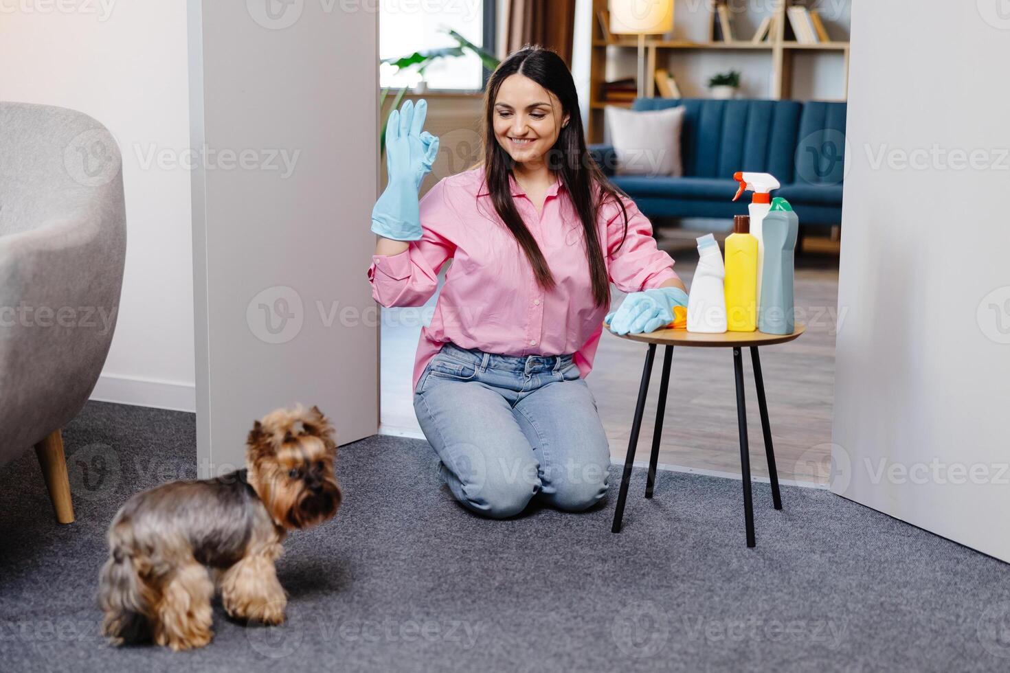 Young woman sitting near the table with cleaning products at home and her little dog is running next to her photo
