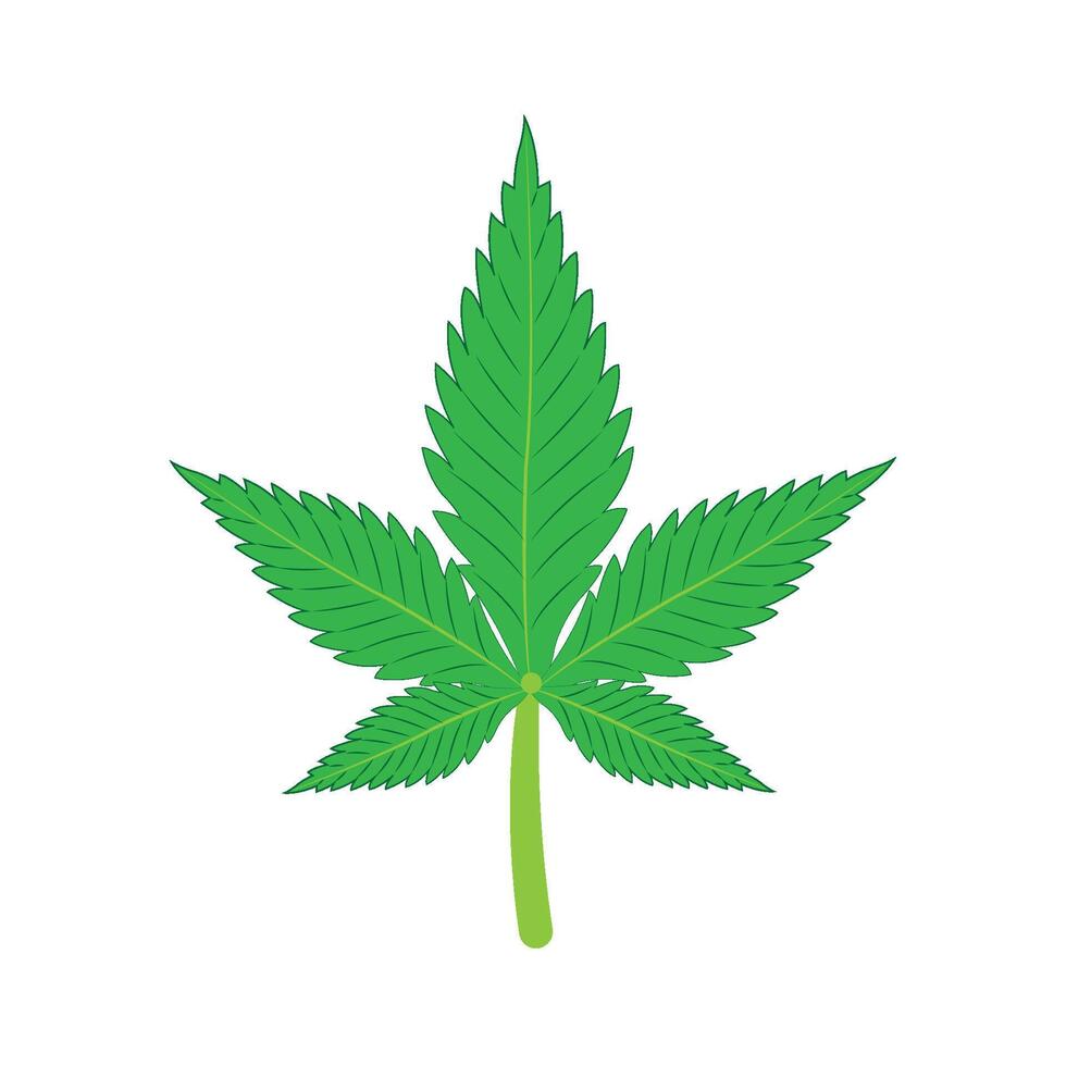 marijuana leaf icon illustration design template vector