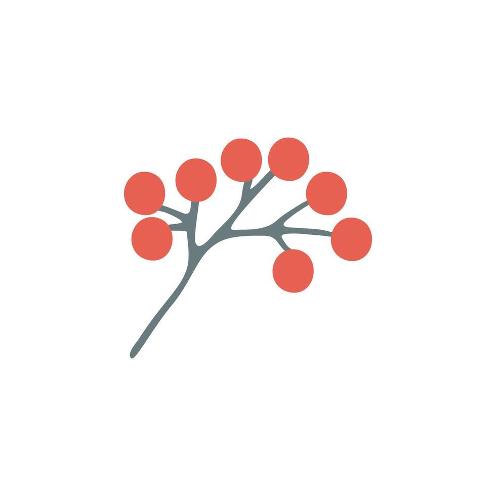hand drawn branch of berries for winter and autumn decoration. Doodle illustration. vector