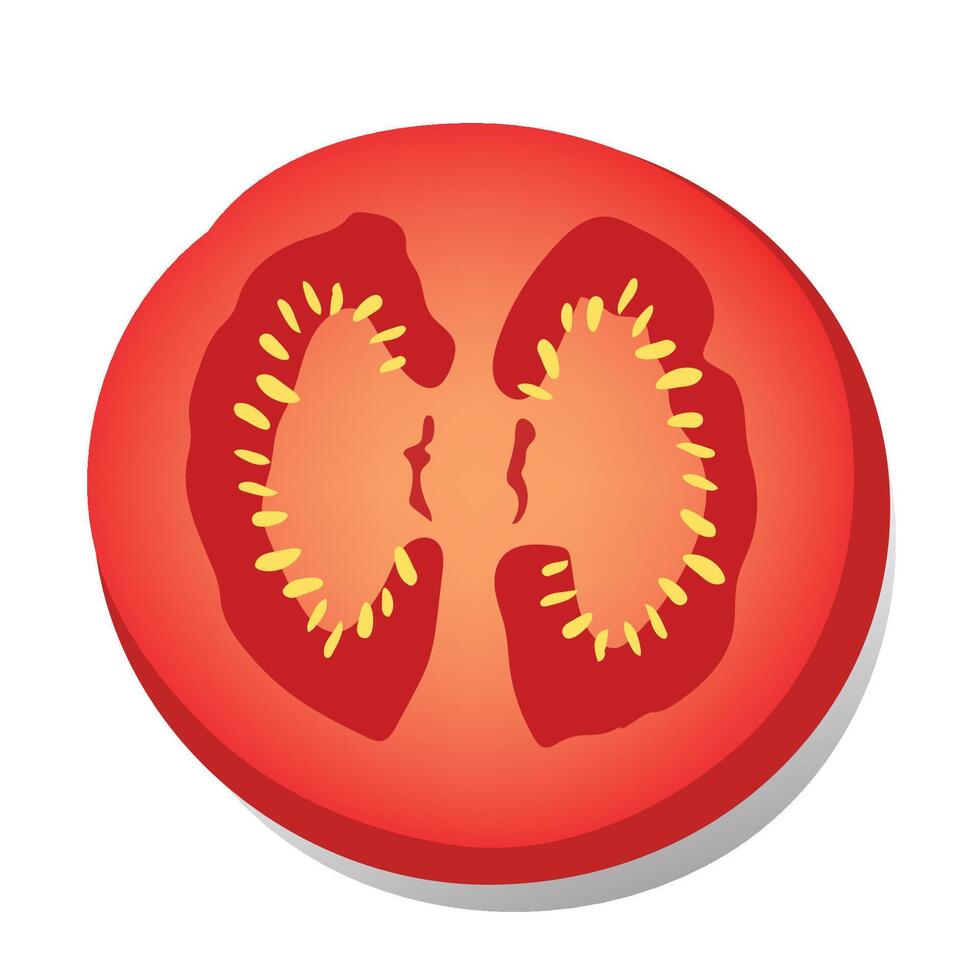 Tomato slice on white vector