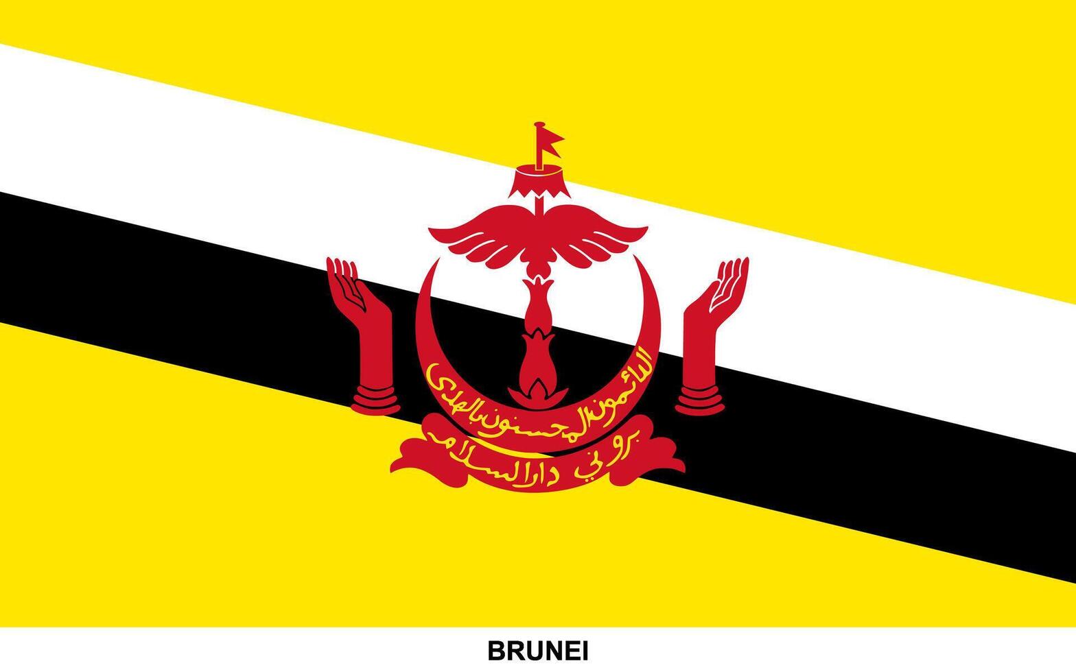 Flag of BRUNEI, BRUNEI national flag vector