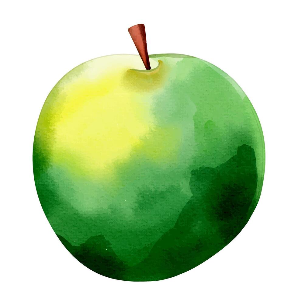 Green apple watercolor isolated on white background. illustration. Fruit element. vector