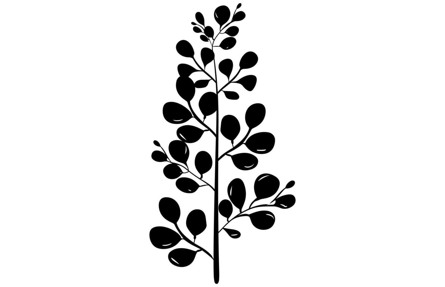 acacia leafs and flowers silhouette set. Medicinal tree branch with leaves collection, Acacia set graphic black and white flower leaves seeds vector