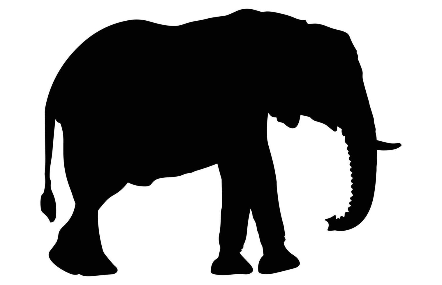 African Elephant Animal silhouette, Wild African Elephant Silhouette vector
