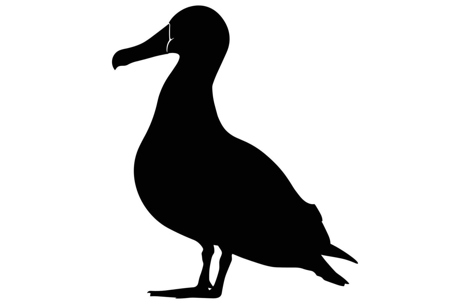 albatross silhouette, albatross silhouette black illustration vector