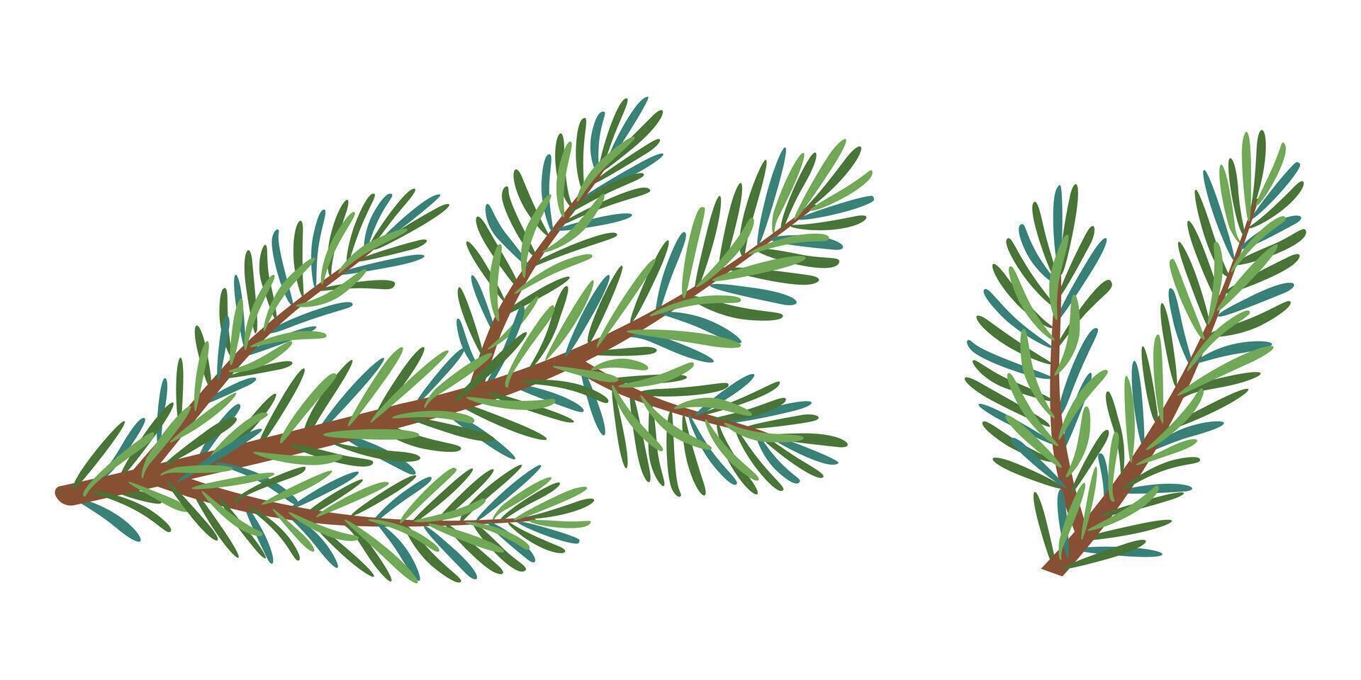Christmas spruce branch set. Larch, Pine, spruce branch, evergreen tree, fir icon, winter plants, New Year wood, holiday decoration. Hand drawn illustration. vector