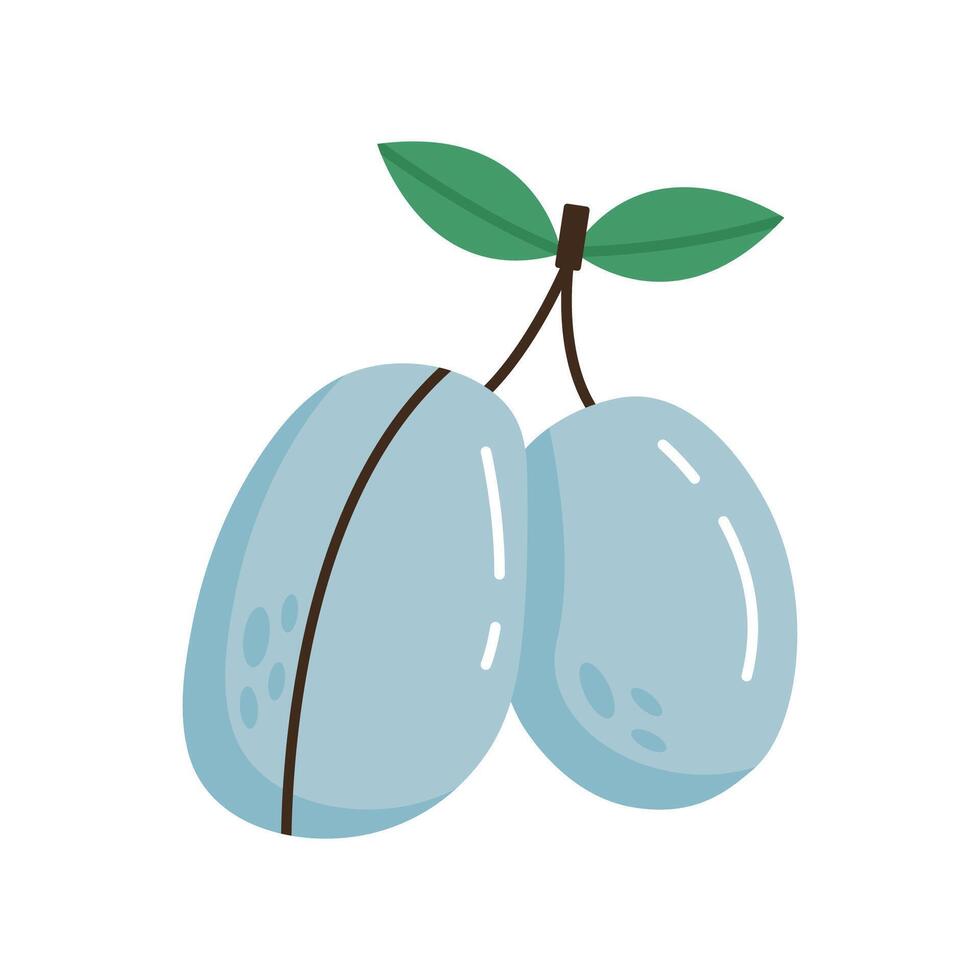 Two hand drawn plums with leaf. Flat illustration isolated on white background. vector
