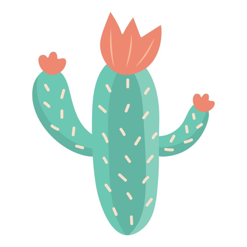 Cute cactus. Blooming succulent. illustration isolated on white background. vector