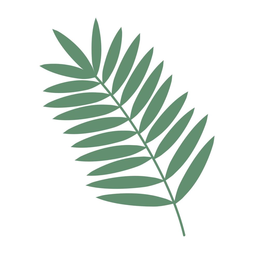 Tropical twig with leaves. Exotic summer botanical icon. illustration isolated on white background. vector