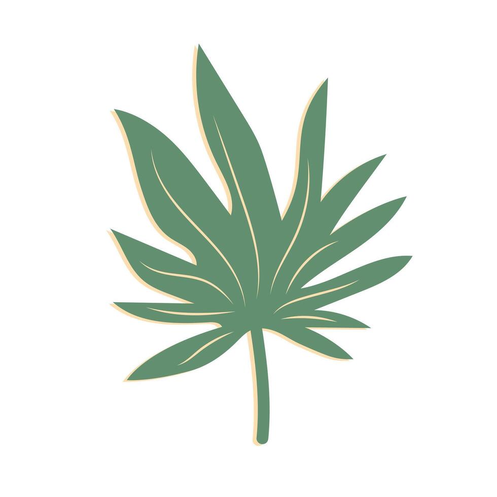 Tropical leaf. Exotic summer botanical icon. illustration isolated on white background. vector