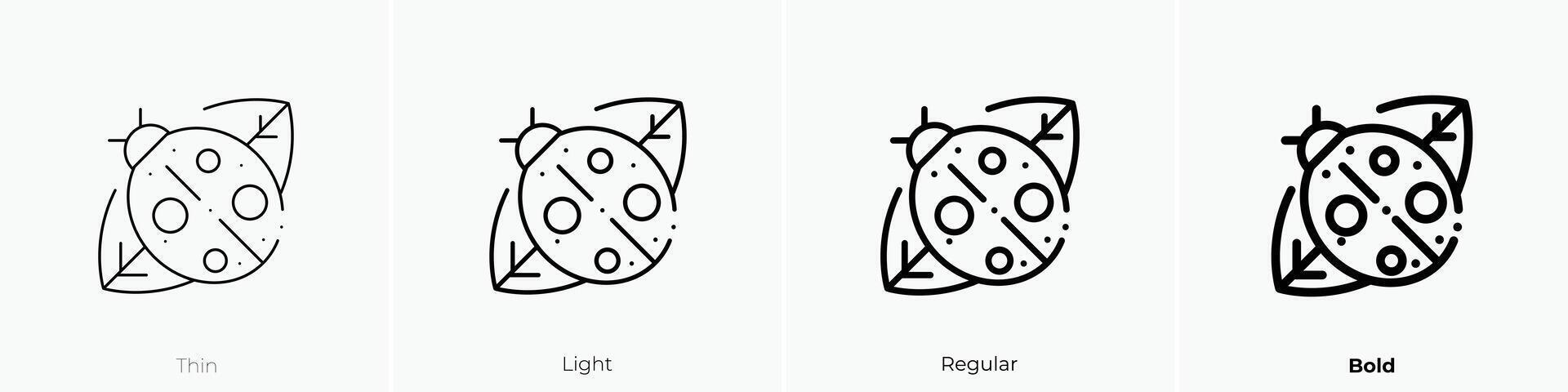 ladybird icon. Thin, Light, Regular And Bold style design isolated on white background vector