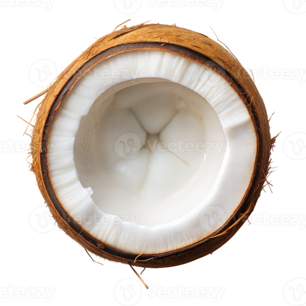 A freshly cut coconut reveals its white flesh and hard outer shell against a transparent background png