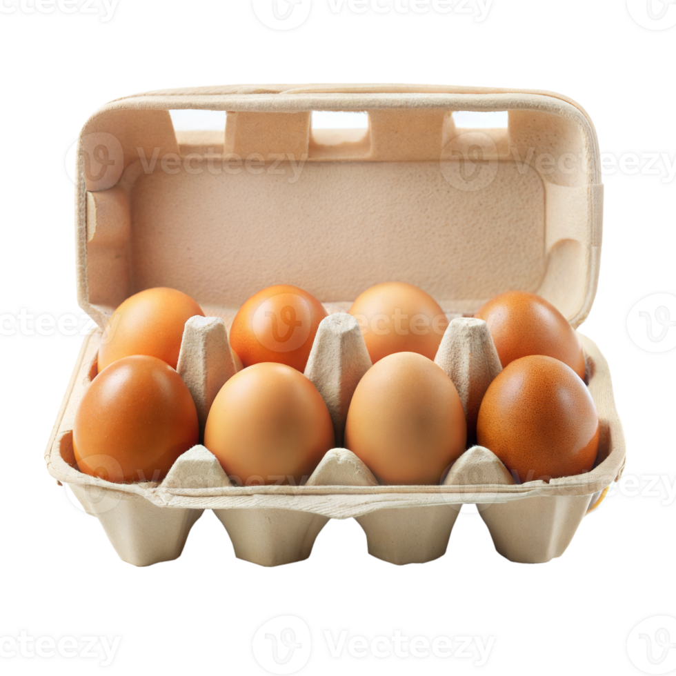 A carton of eggs with a transparent background png