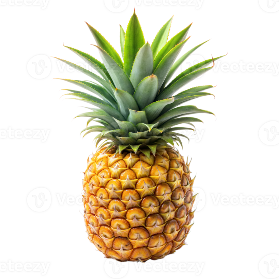 A large pineapple sits on a transparent background png