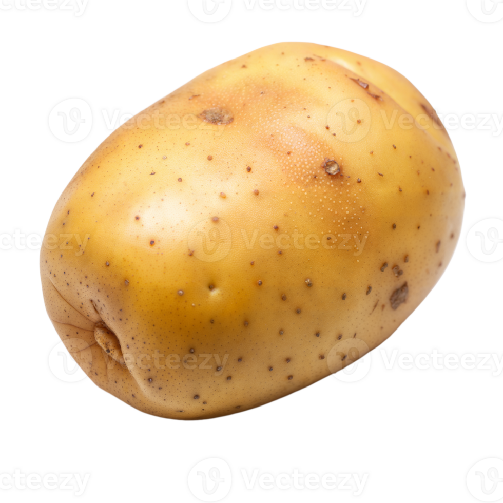 A large, unpeeled potato with many small holes on its skin png