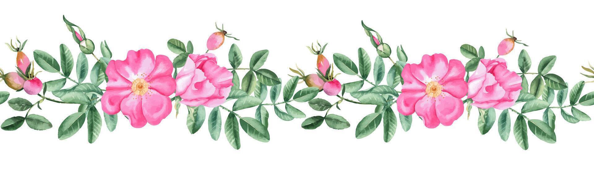 Dog rose horizontal watercolor seamless border pattern. Hand drawn botanical illustration. Rose hip flowers, branches and berries. Can be used for fabric, textile, packaging prints, wallpaper design. vector