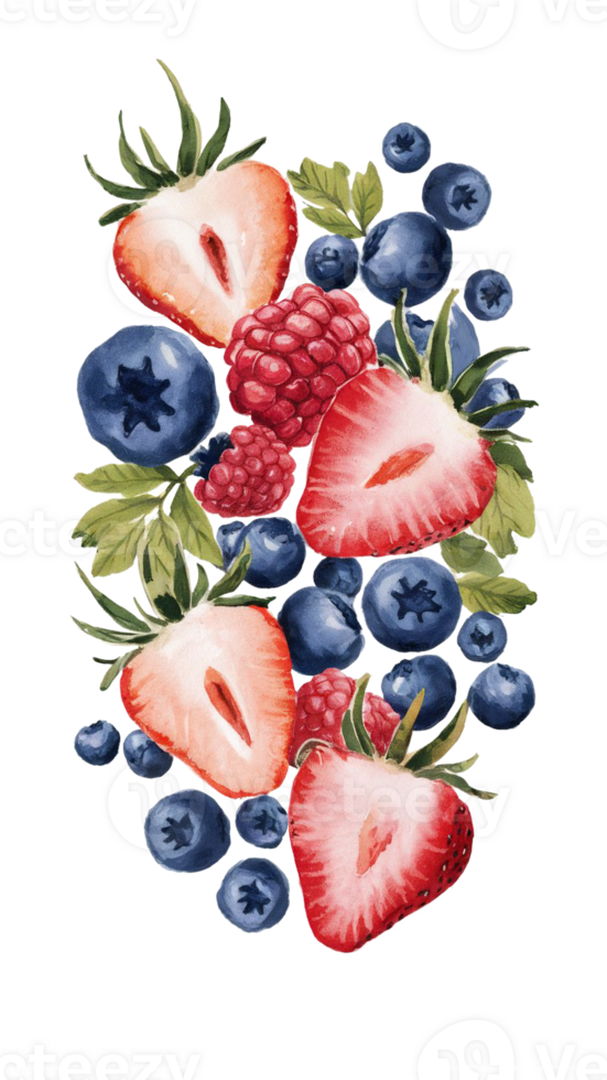 watercolor graphics juicy ripe summer fruits png