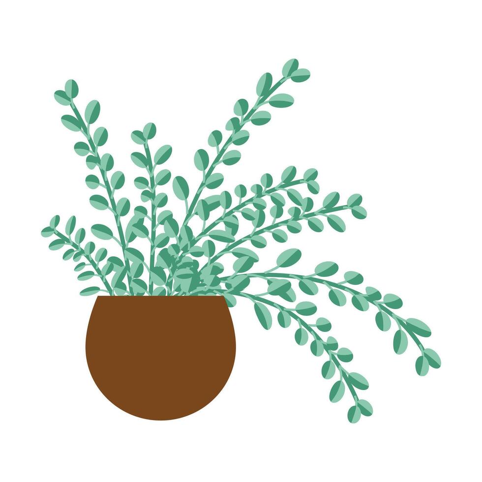 Organic flat houseplant on white background vector