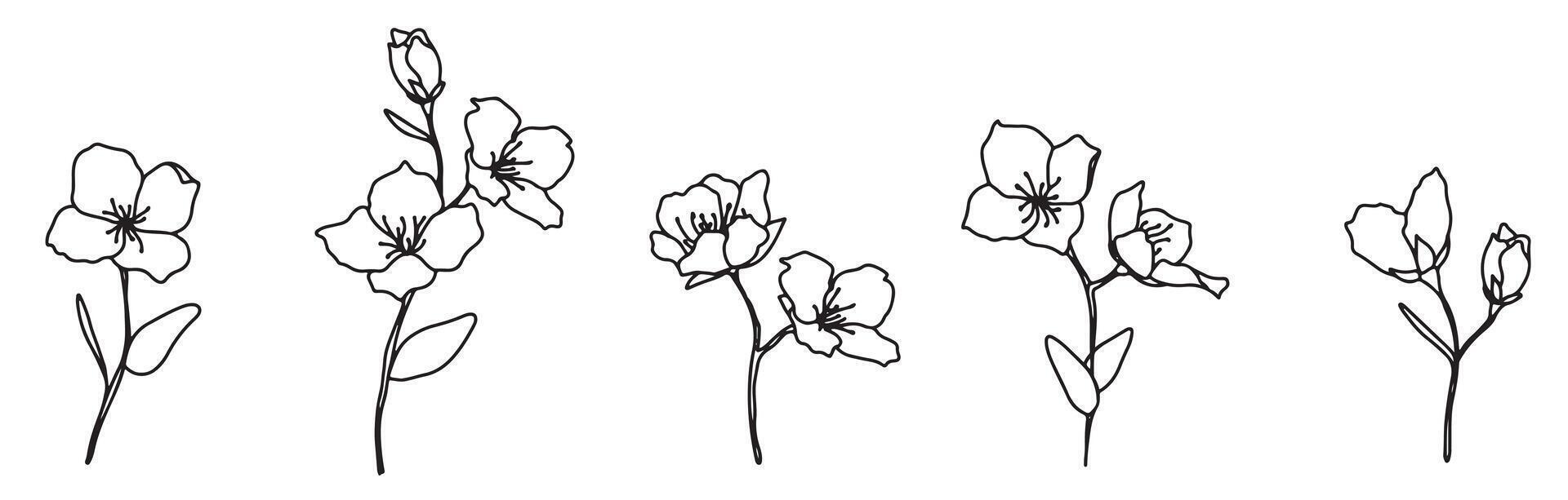 Decorative elements doodle set. Branches, simple flowers. Hand drawn illustration isolated on white background. jasmine, cherry, apple, pear flowers vector