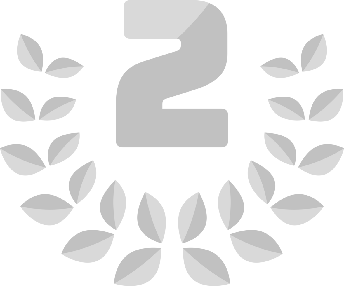 2nd Second Medal Coin with Laurels and Stars png