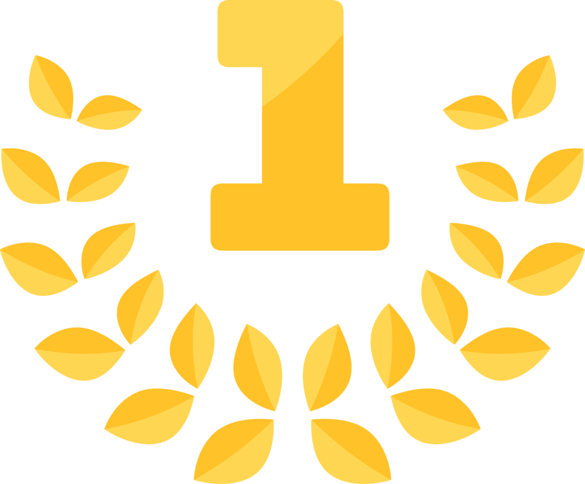 1st First Medal Coin with Laurels and Stars png