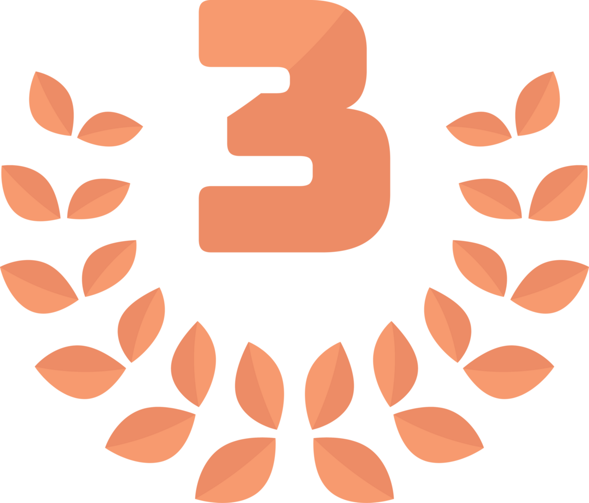 3rd Third Medal Coin with Laurels and Stars png