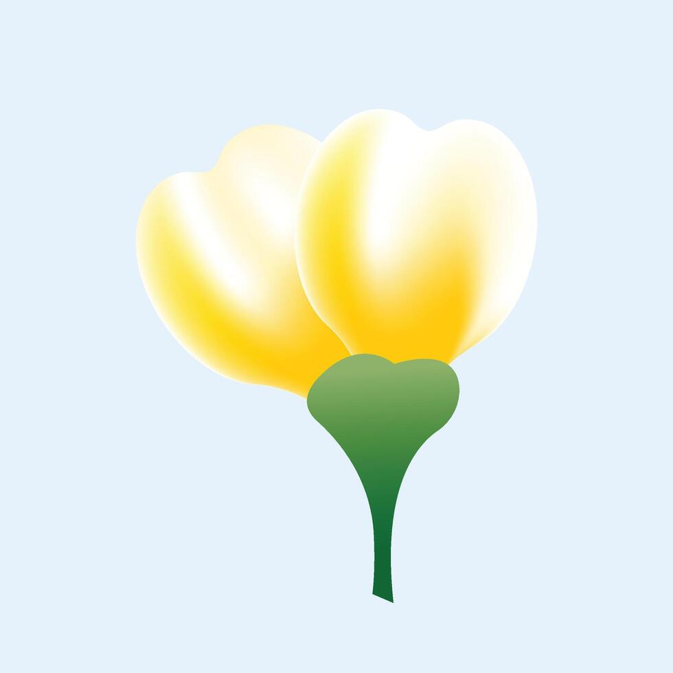 Realistic cherry blossom illustration on white background vector