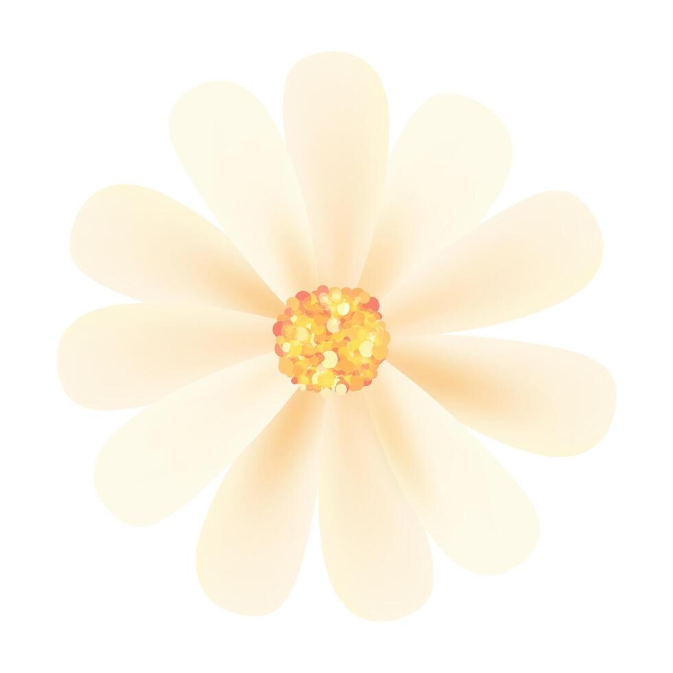 realistic cherry blossom illustration on white background vector