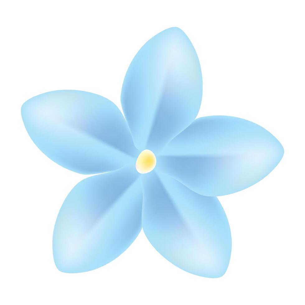 realistic cherry blossom illustration on white background vector