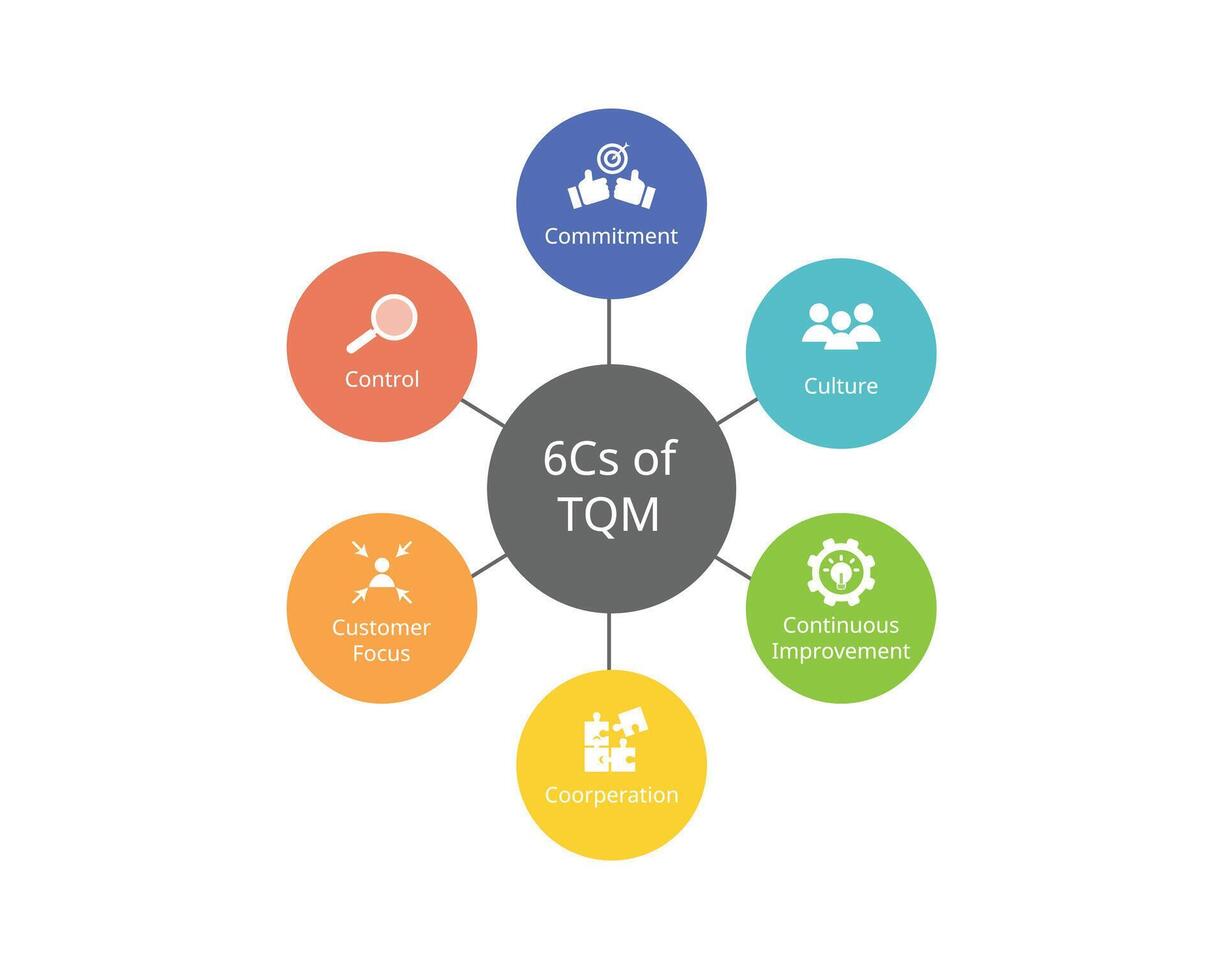 6 Cs Of TQM or Total Quality Management for Commitment, culture, customer focus, Continuous improvement, cooperation, control vector