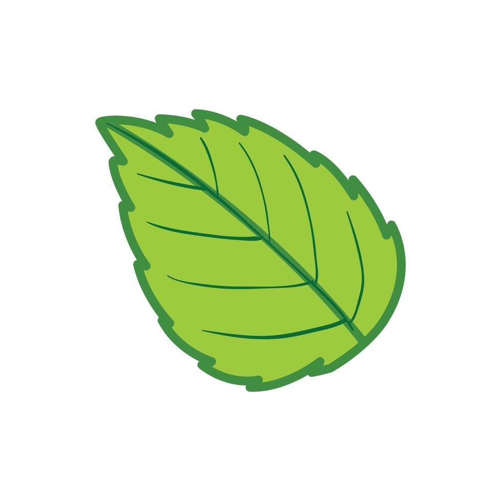 Botany green leaf icon Cartoon of botany green leaf on white vector