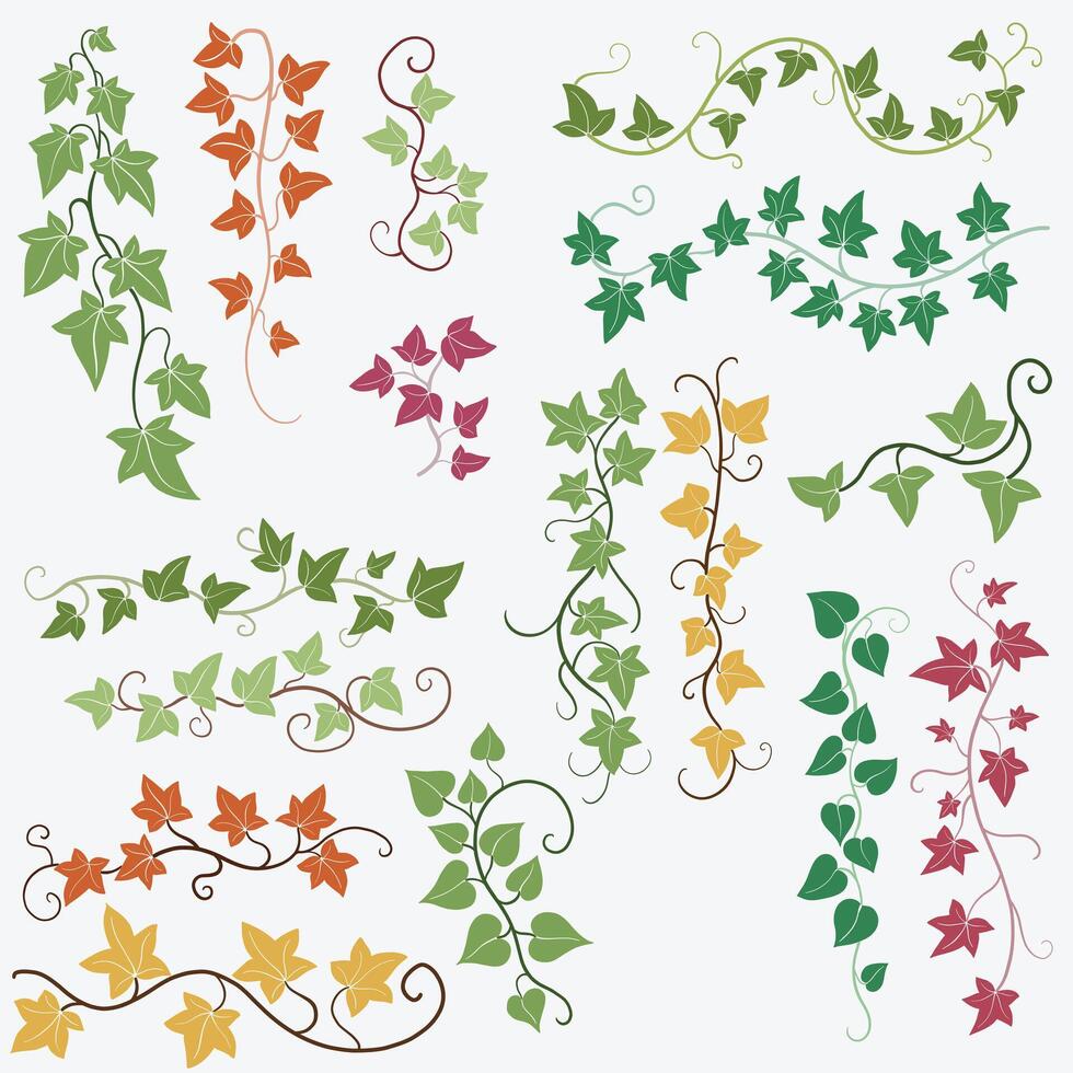 Floral ivy drawing decorative ornament flat design collection. vector