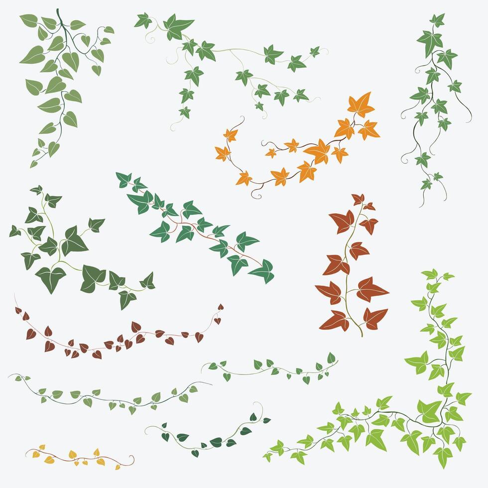 Floral ivy drawing decorative ornament flat design collection. vector