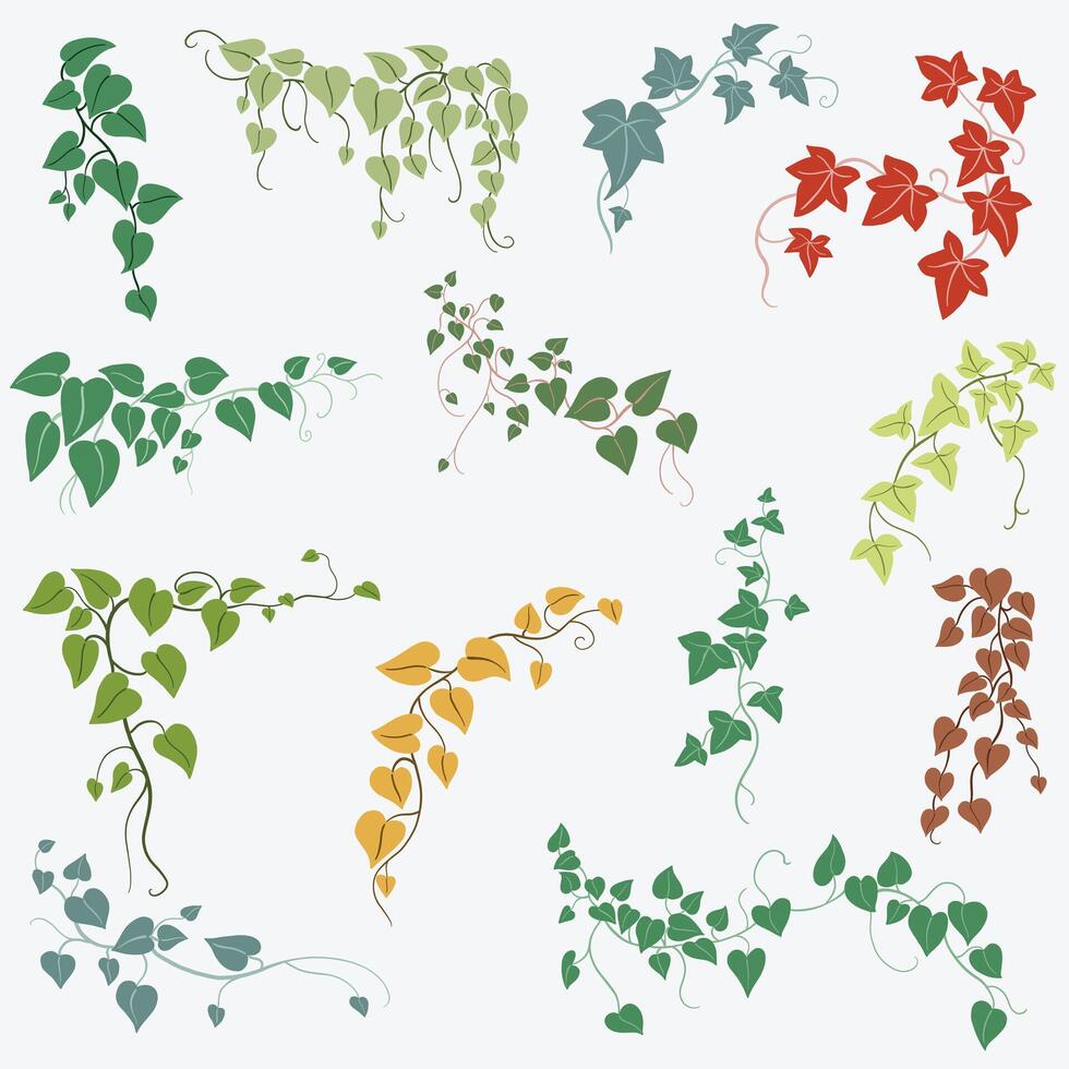 Floral ivy drawing decorative ornament flat design collection. vector