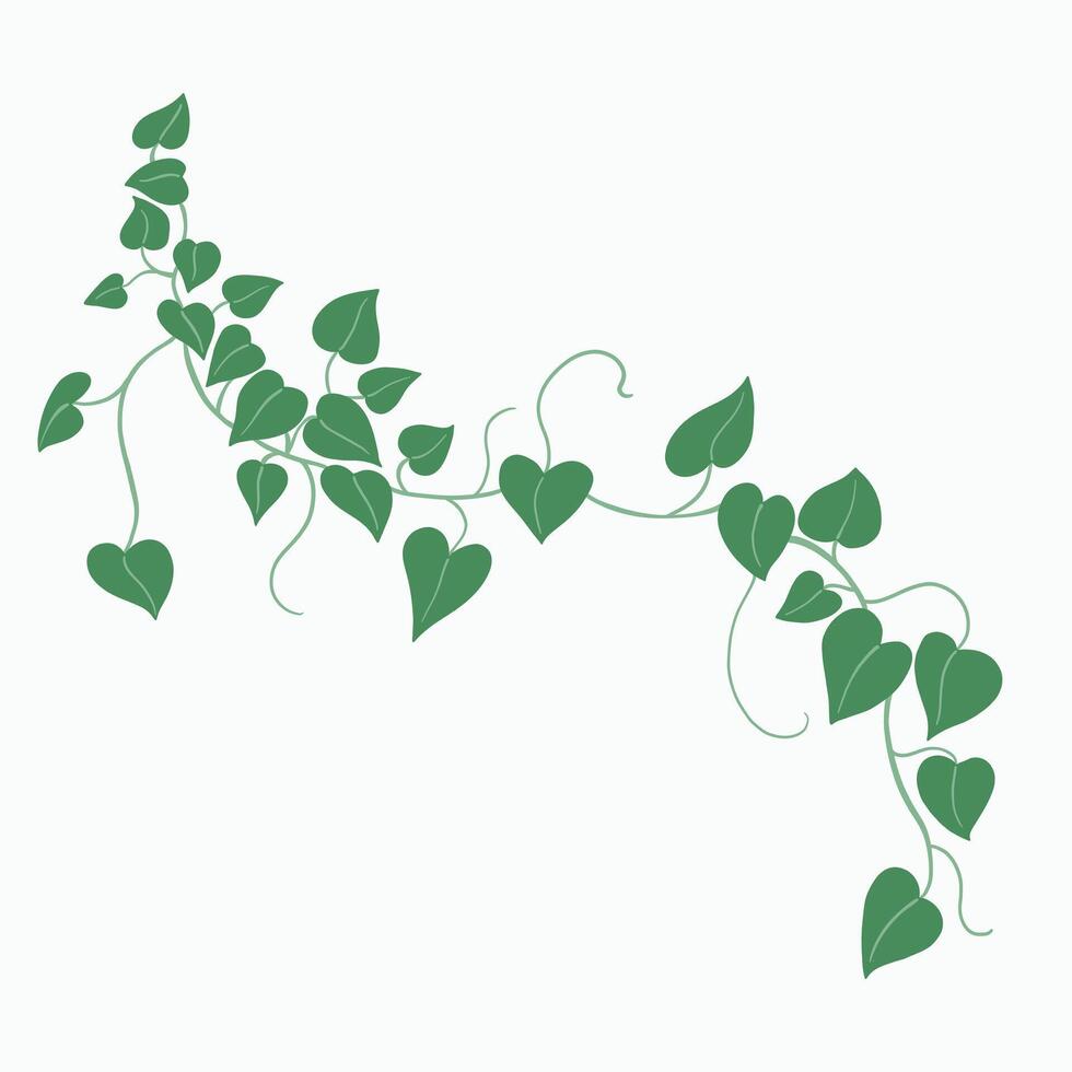 Floral ivy drawing decorative ornament flat design. vector