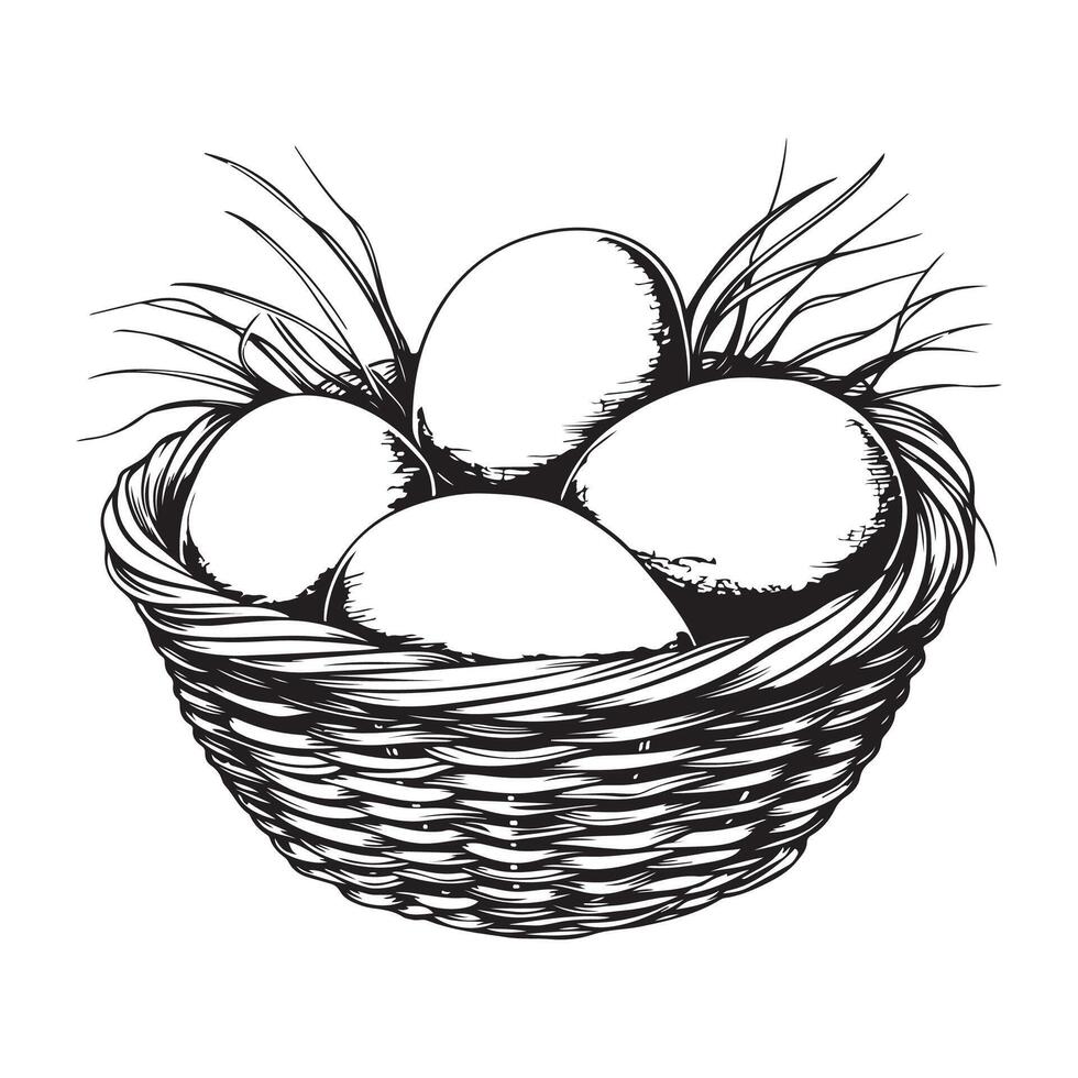 Eggs in a wicker basket, black and white illustration Stock Image and Design isolated on white vector