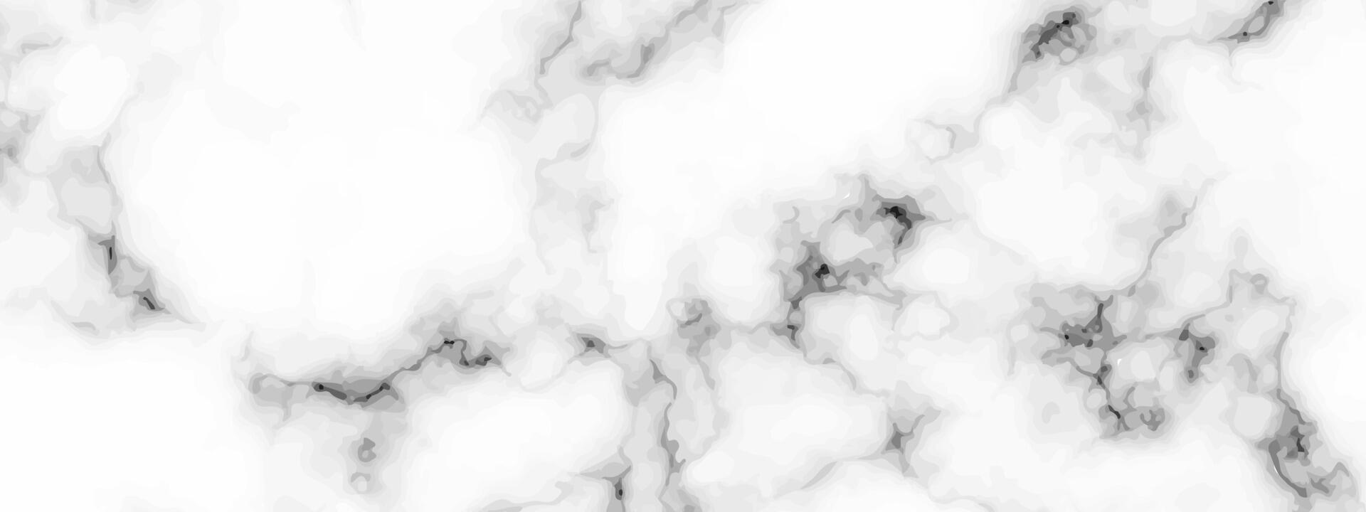 White marble texture background vector
