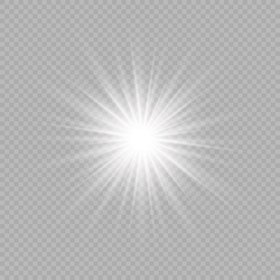 Light effect of lens flares vector