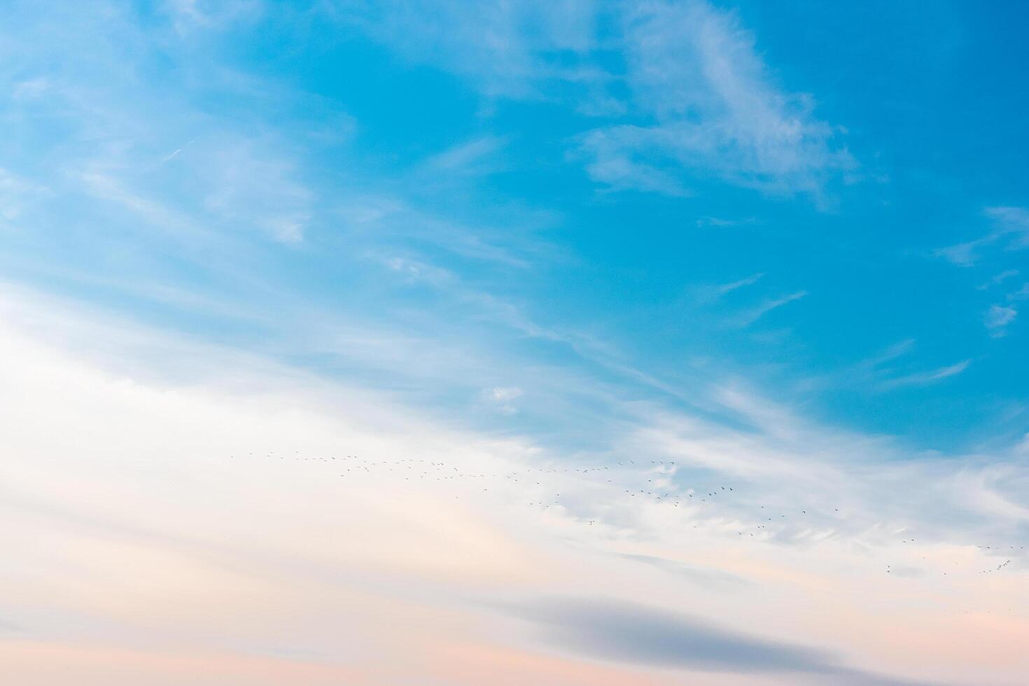 Abstract background. Blue sky with blurry clouds. photo