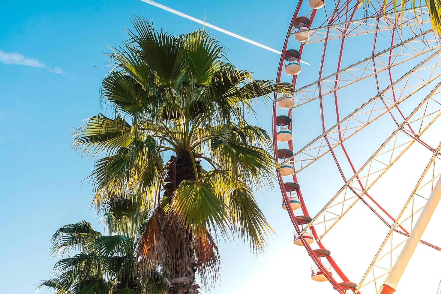 View of the Ferris wheel attraction against a background of blue sky between palm trees. Ferris wheel in the Georgian city of Batumi. photo
