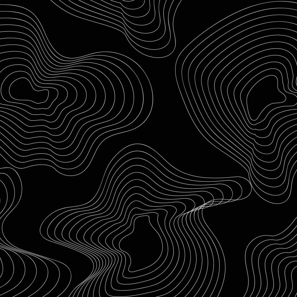 abstract contour line map vector
