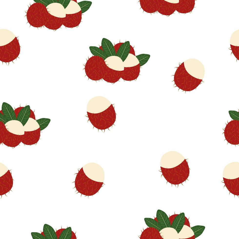 Fresh Rambutan Tropical Fruit Seamless Pattern On White Background vector