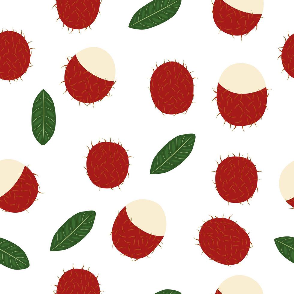 Fresh Rambutan Tropical Fruit Seamless Pattern On White Background vector