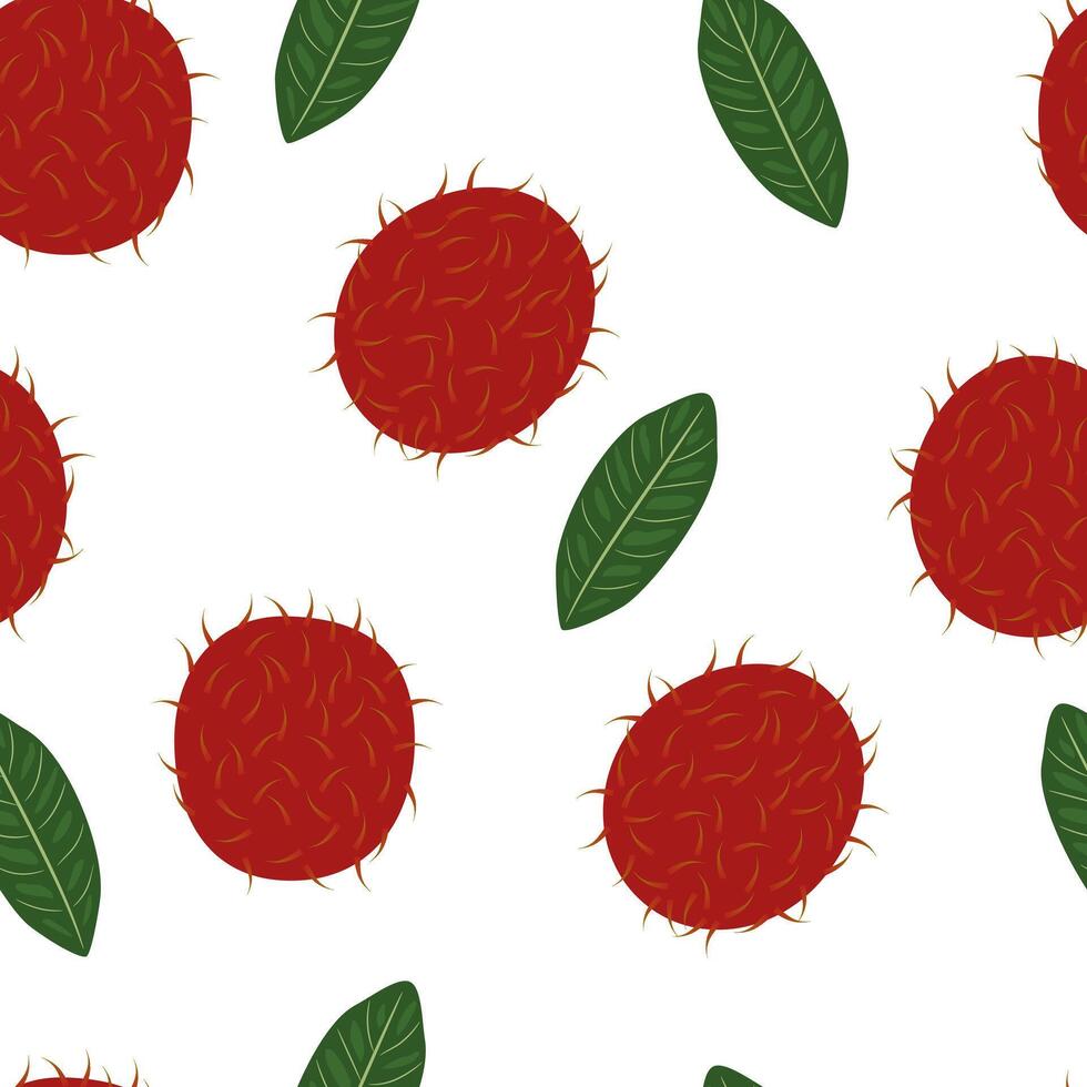 Fresh Rambutan Tropical Fruit Seamless Pattern On White Background vector